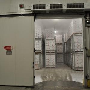 Fábrica de túnel de congelamento de alimentos